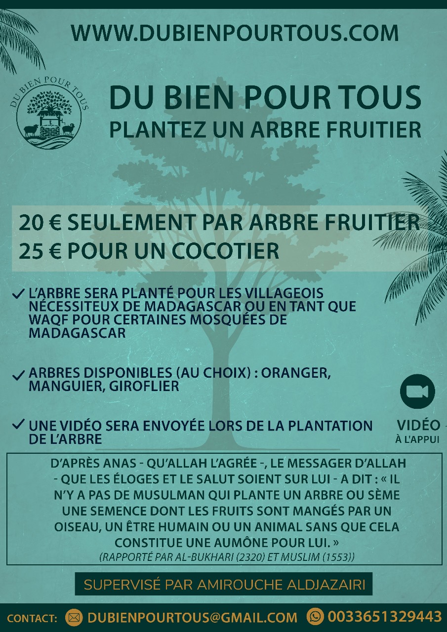 arbre visuel